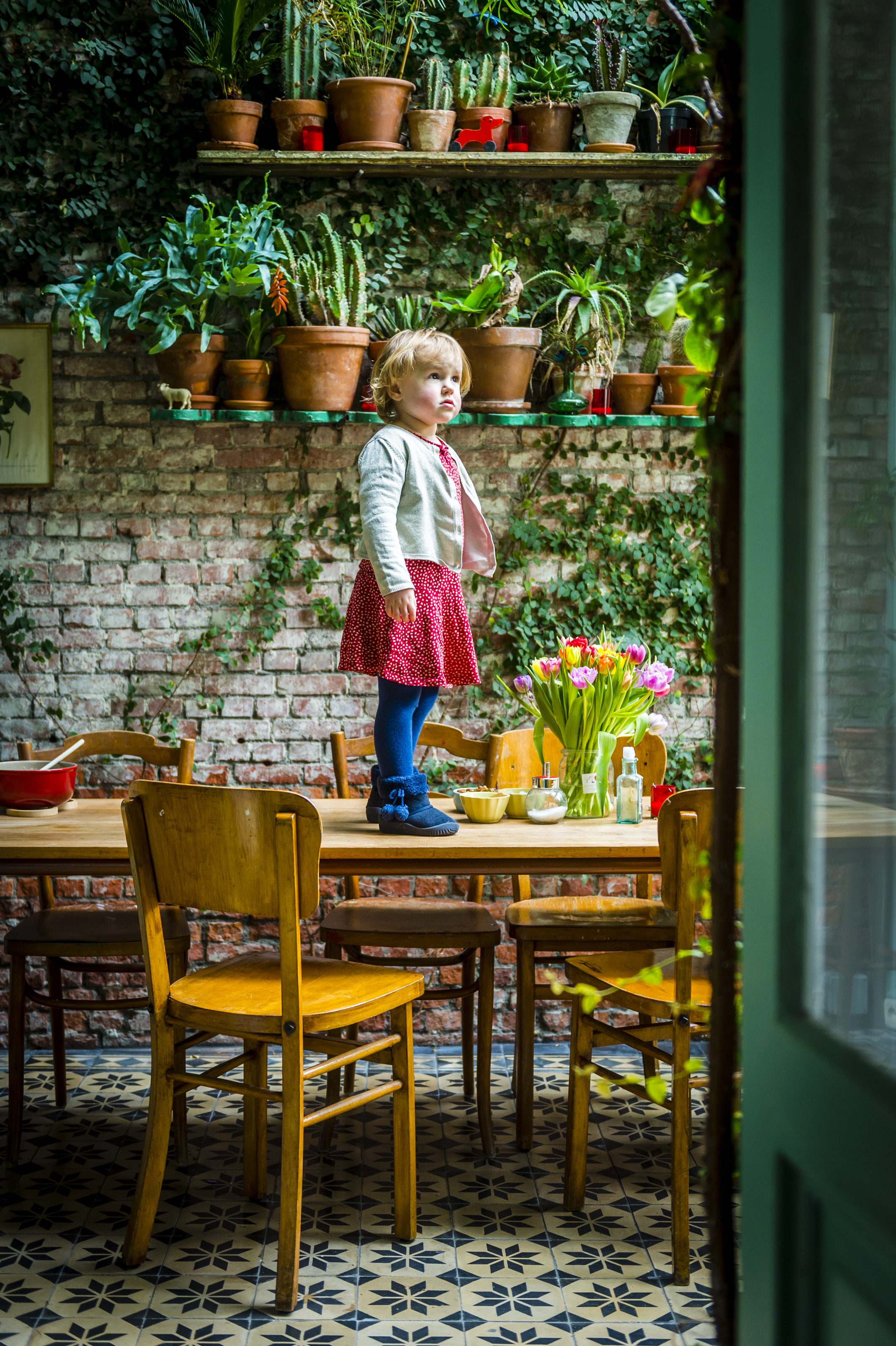 jungle house  |  © Frederik Beyens 2025